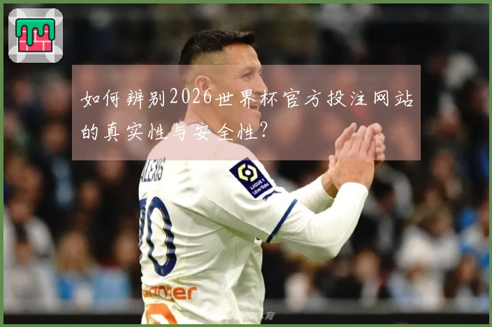 如何辨别2026世界杯官方投注网站的真实性与安全性？