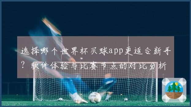选择哪个世界杯买球app更适合新手？软件体验与比赛节点的对比分析