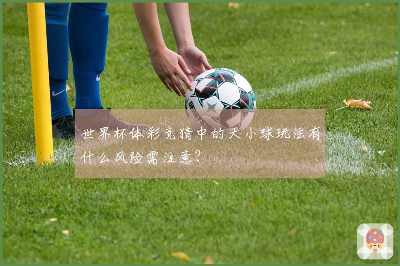 世界杯体彩竞猜中的大小球玩法有什么风险需注意？
