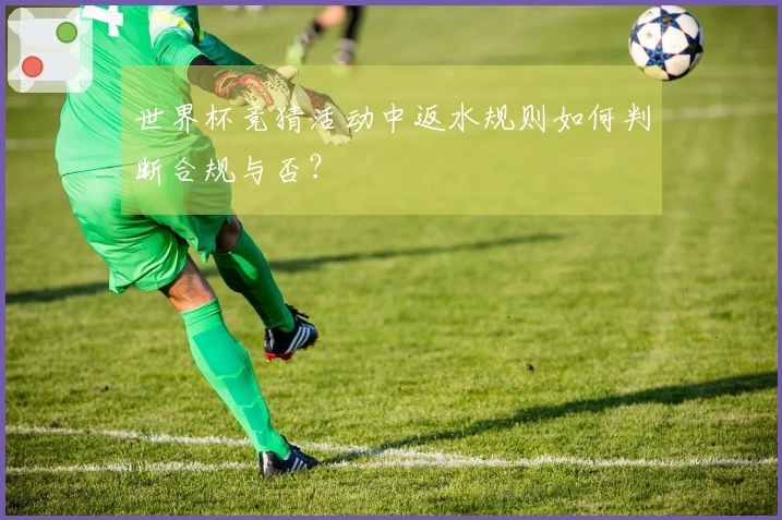 世界杯竞猜活动中返水规则如何判断合规与否？