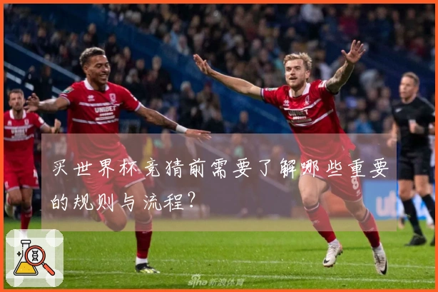 买世界杯竞猜前需要了解哪些重要的规则与流程？