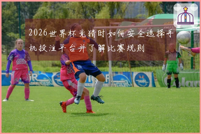 2026世界杯竞猜时如何安全选择手机投注平台并了解比赛规则
