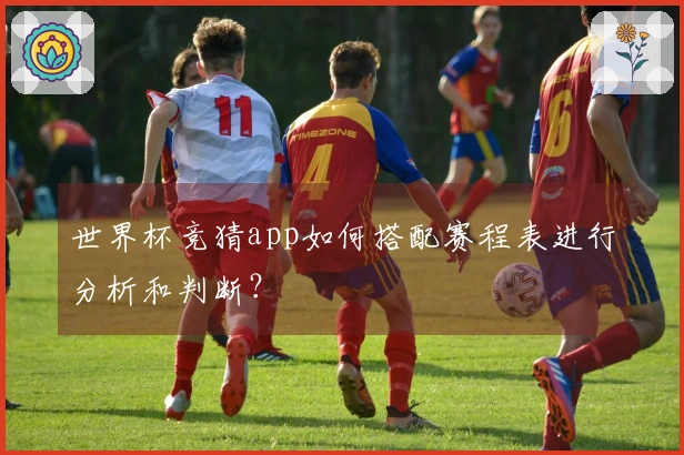 世界杯竞猜app如何搭配赛程表进行分析和判断?
