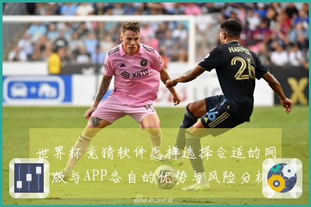 世界杯竞猜软件怎样选择合适的网页版与APP各自的优势与风险分析