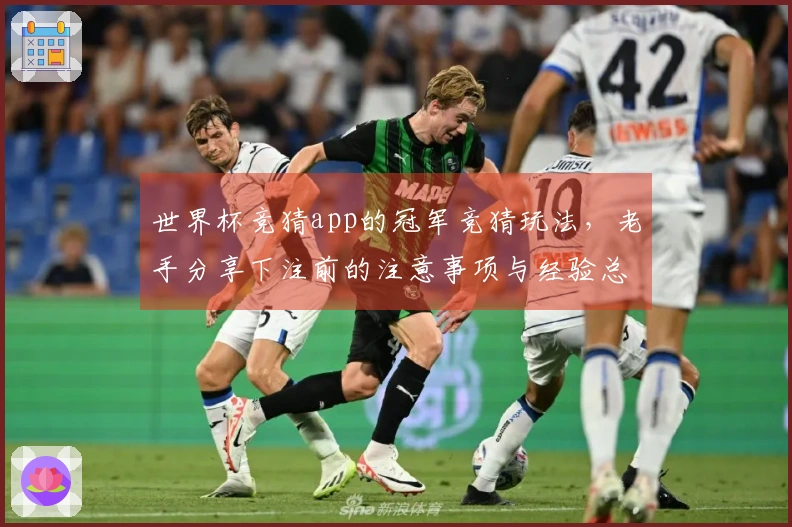 世界杯竞猜app的冠军竞猜玩法，老手分享下注前的注意事项与经验总结