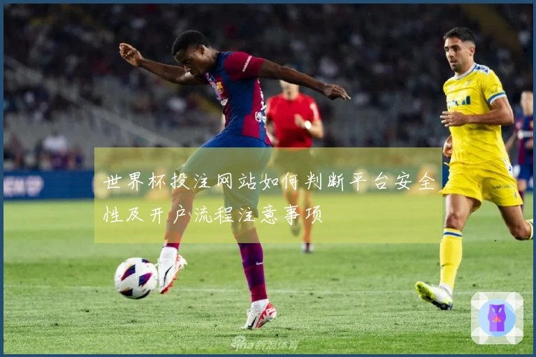 世界杯投注网站如何判断平台安全性及开户流程注意事项
