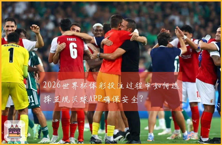 2026世界杯体彩投注过程中如何选择正规买球APP确保安全？