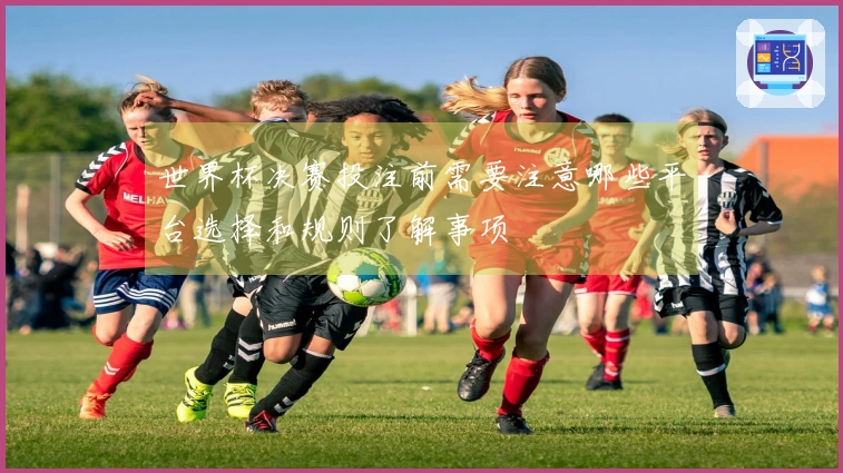 世界杯决赛投注前需要注意哪些平台选择和规则了解事项
