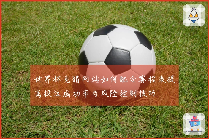 世界杯竞猜网站如何配合赛程表提高投注成功率与风险控制技巧
