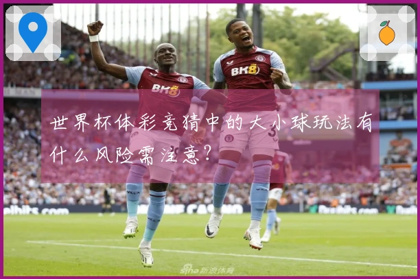 世界杯体彩竞猜中的大小球玩法有什么风险需注意？