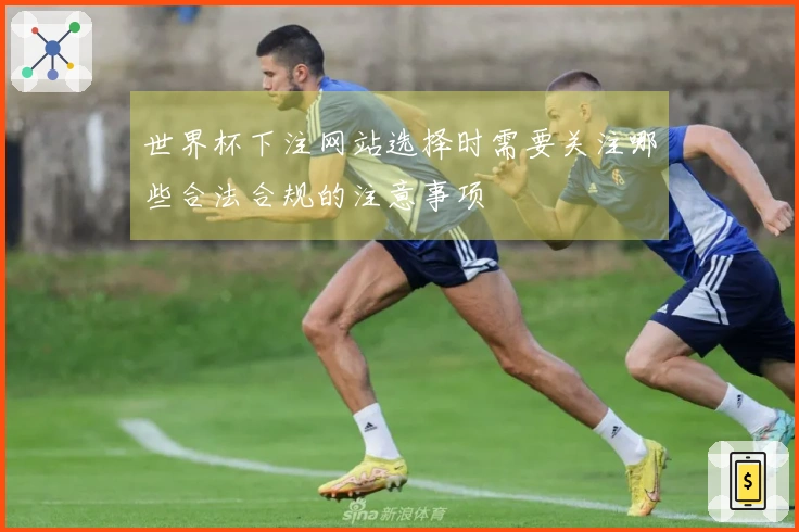 世界杯下注网站选择时需要关注哪些合法合规的注意事项
