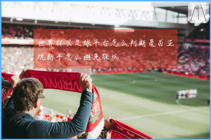 世界杯买足球平台怎么判断是否正规新手怎么避免踩坑