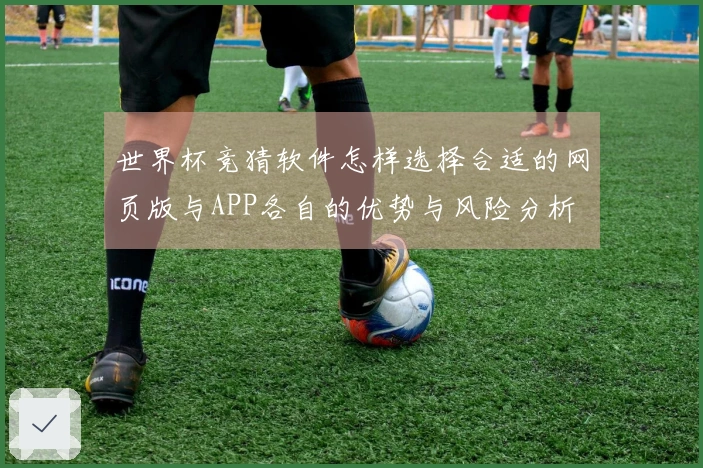 世界杯竞猜软件怎样选择合适的网页版与APP各自的优势与风险分析