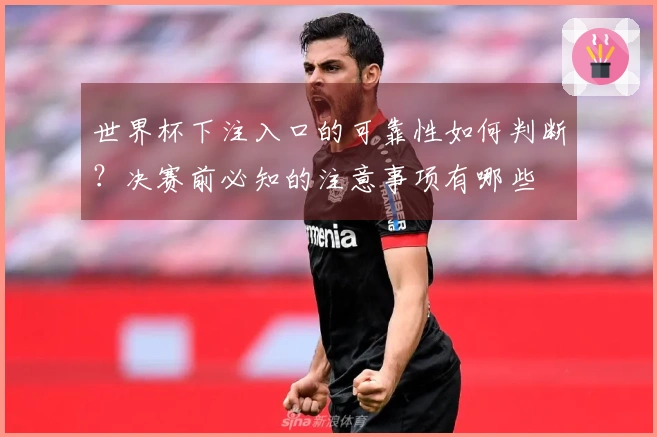 世界杯下注入口的可靠性如何判断？决赛前必知的注意事项有哪些