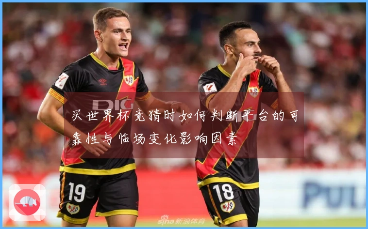 买世界杯竞猜时如何判断平台的可靠性与临场变化影响因素