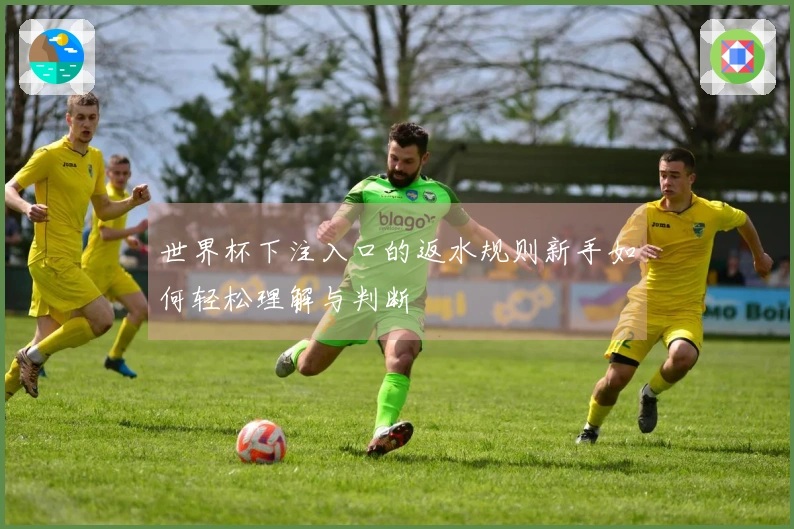 世界杯下注入口的返水规则新手如何轻松理解与判断