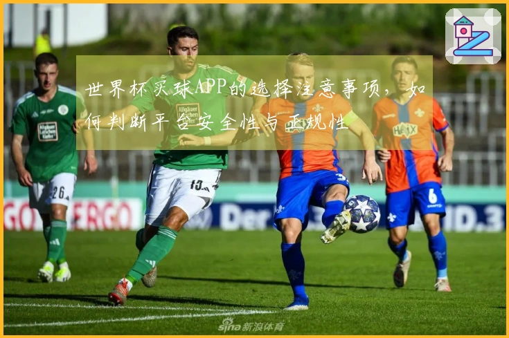 世界杯买球APP的选择注意事项，如何判断平台安全性与正规性