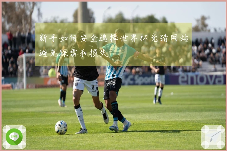 新手如何安全选择世界杯竞猜网站避免踩雷和损失