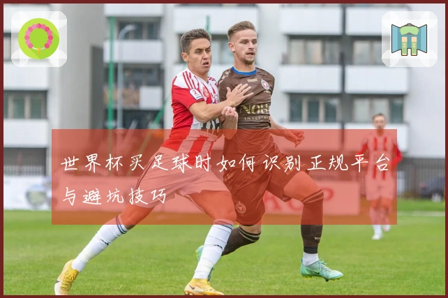 世界杯买足球时如何识别正规平台与避坑技巧