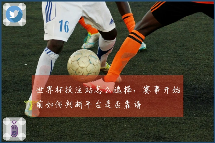 世界杯投注站怎么选择，赛事开始前如何判断平台是否靠谱