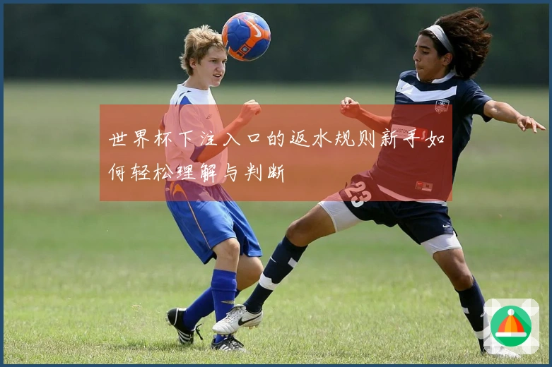 世界杯下注入口的返水规则新手如何轻松理解与判断