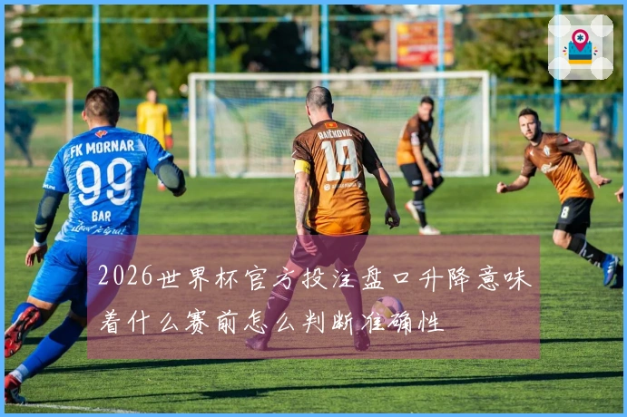 2026世界杯官方投注盘口升降意味着什么赛前怎么判断准确性