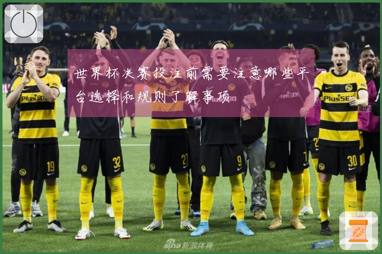 世界杯决赛投注前需要注意哪些平台选择和规则了解事项